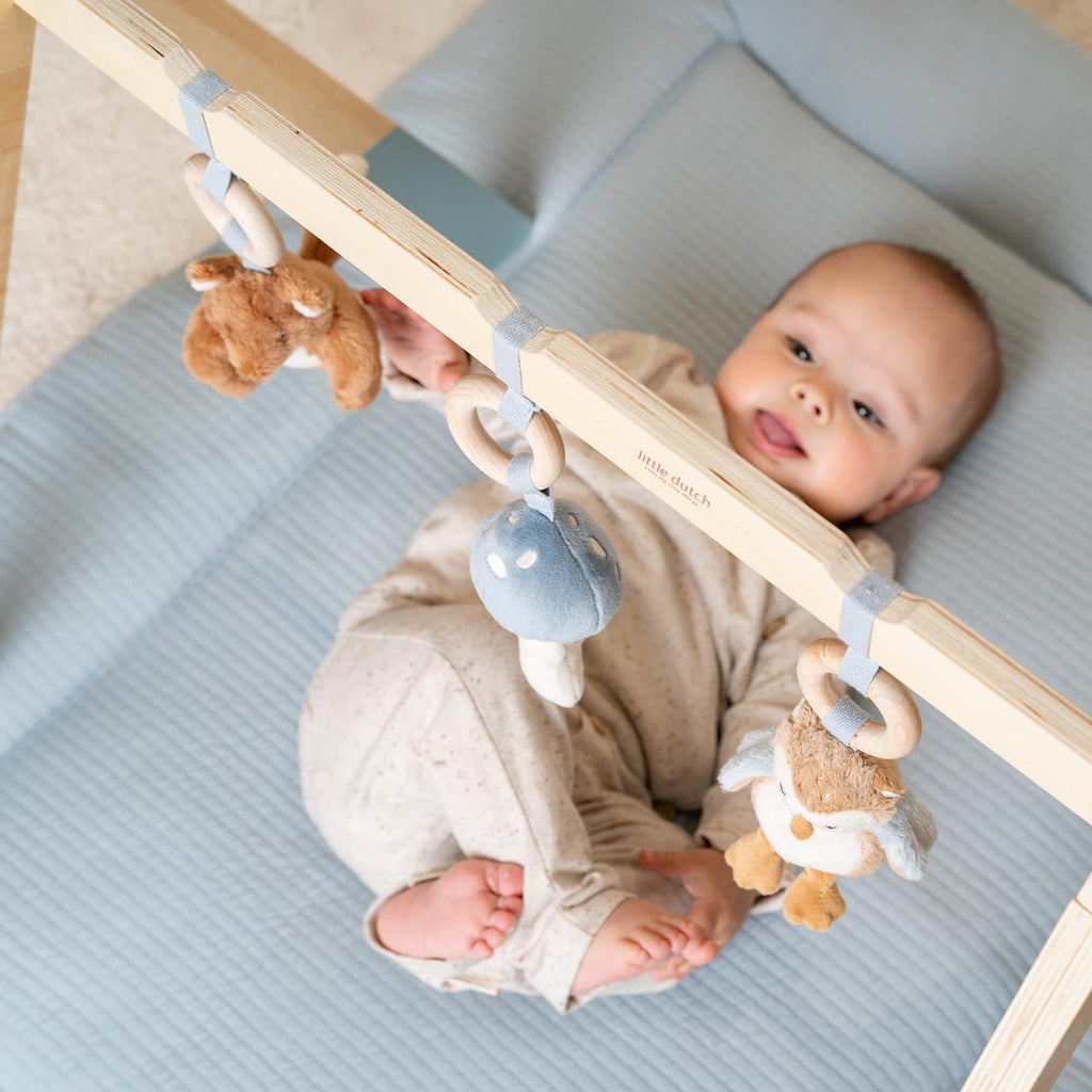 Babygym - Blauw - Forest Friends