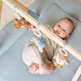 Babygym - Blauw - Forest Friends