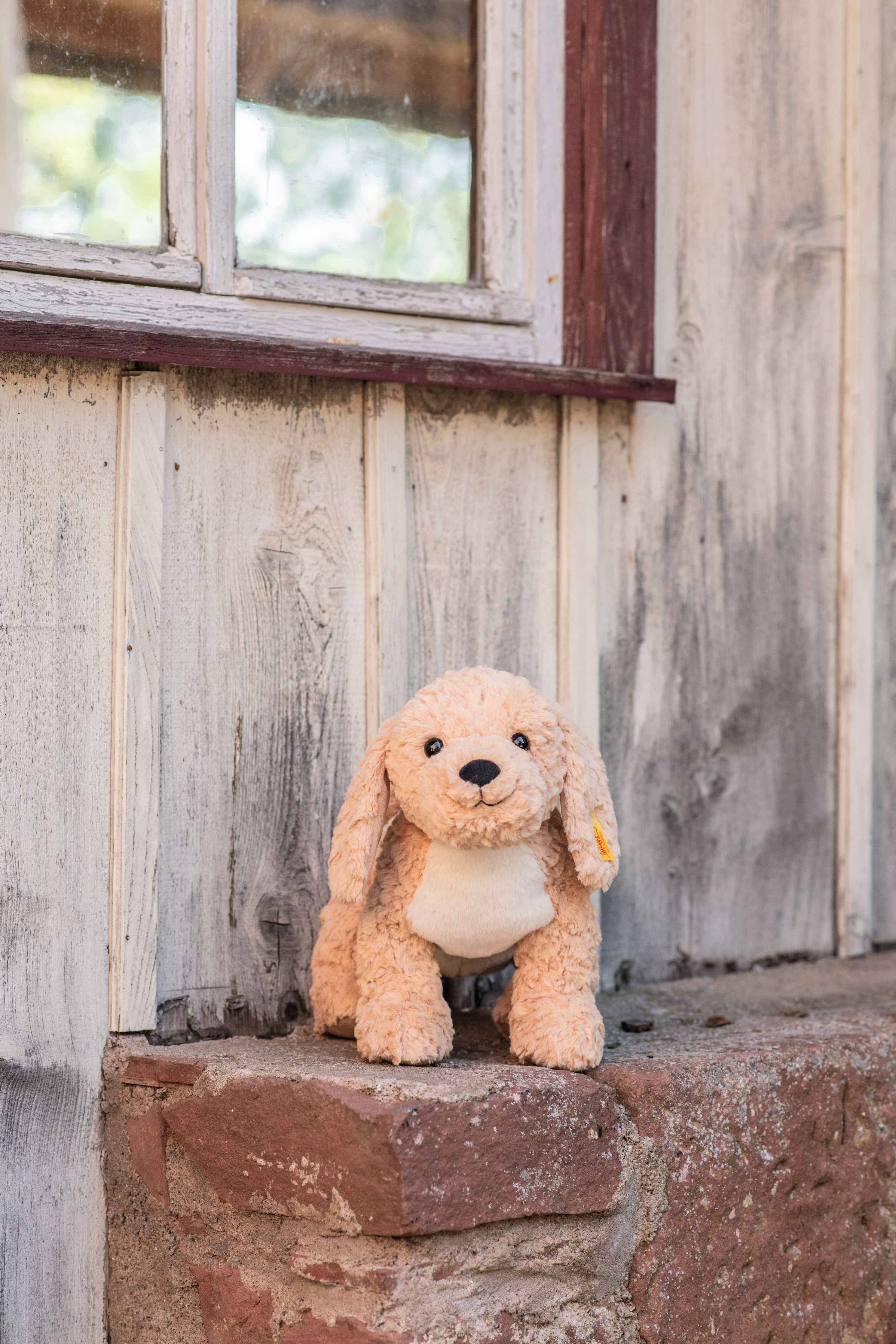 Steiff Berno Goldendoodle Dog, 14"